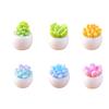BUYUP Miniature Succulent Plants In Set of Cute Soothing Bonsai Tabletop Entryway Flower Garden Interior Micro Garden Mini Scenery Collection