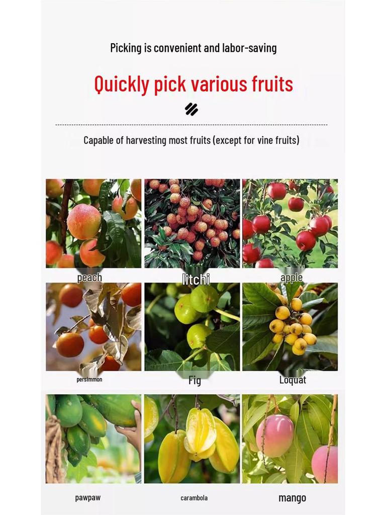 Телескопический шест для сбора фруктов: Янмэй, Мушмула, Слива, Хурма, Абрикос, Персик Высокогорный инструмент