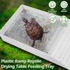 With Ramp Tortoise Bath Dish Plastic Reptile Feeding Box Dish New Hermit Crab Climbing Toy