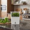 Large Capacity Fresh Herb Keeper Plastic Herb Lettuce Keeper Vanilla Bean Storage Box  Mint