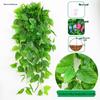 Artificial Green Plant Wall Décor - Rattan Hanging Vines with Pothos and Spider Plant for Indoor Living Room