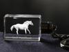Czech Warmblood - Crystal Pendant with Photo of a Horse, Illuminated Pendant, Unique Gift by Art-Dog Brand