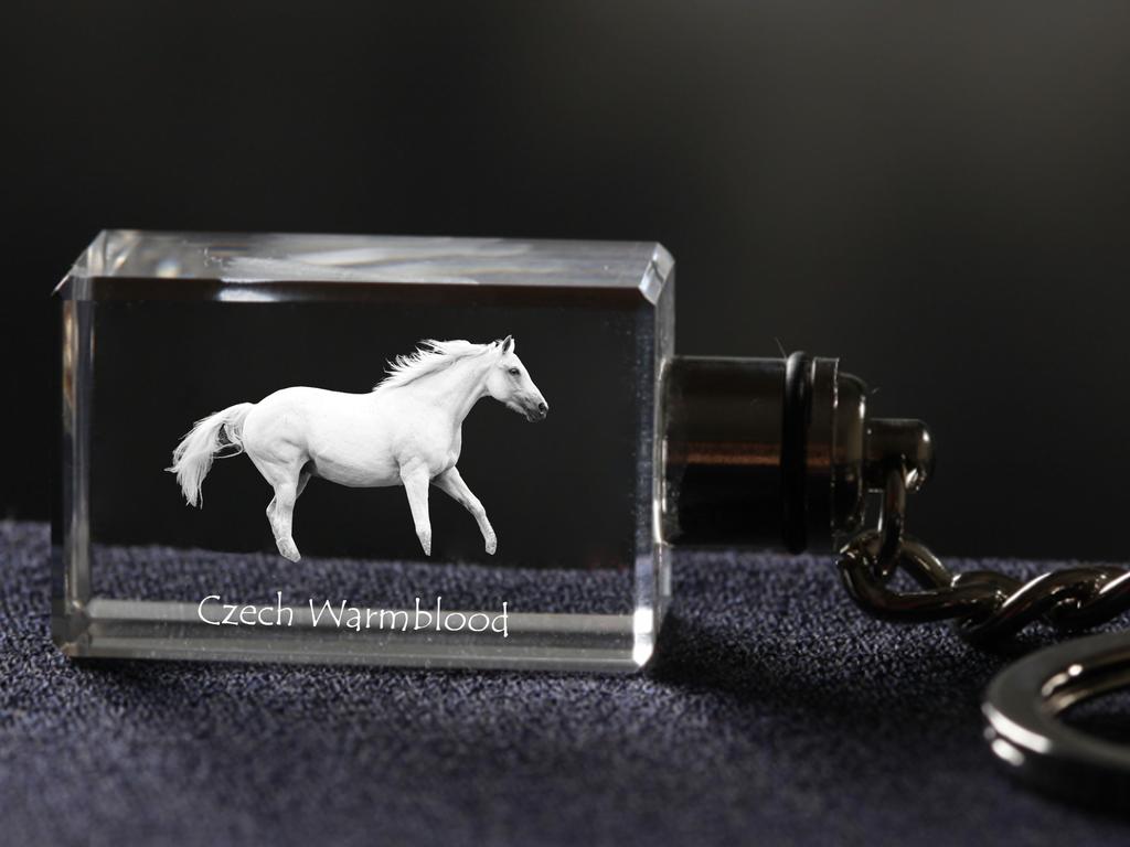 Czech Warmblood - Crystal Pendant with Photo of a Horse, Illuminated Pendant, Unique Gift by Art-Dog Brand