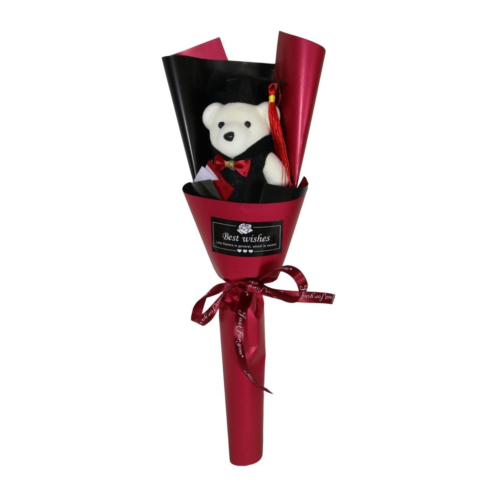 Graduation Bear Bouquets for Graduates Student Teacher Cartoon Doctor Bear Bouquets for Graduation Back to School Day