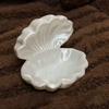 3D Printed Jewelry Storage Tray Multi-function Jewelry Organizer Shell Shape Storage Box  Desk
