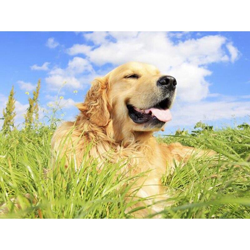 5D DIY Алмазная картина Набор Собака Искусство Алмазная вышивка Стразы Украшения для дома