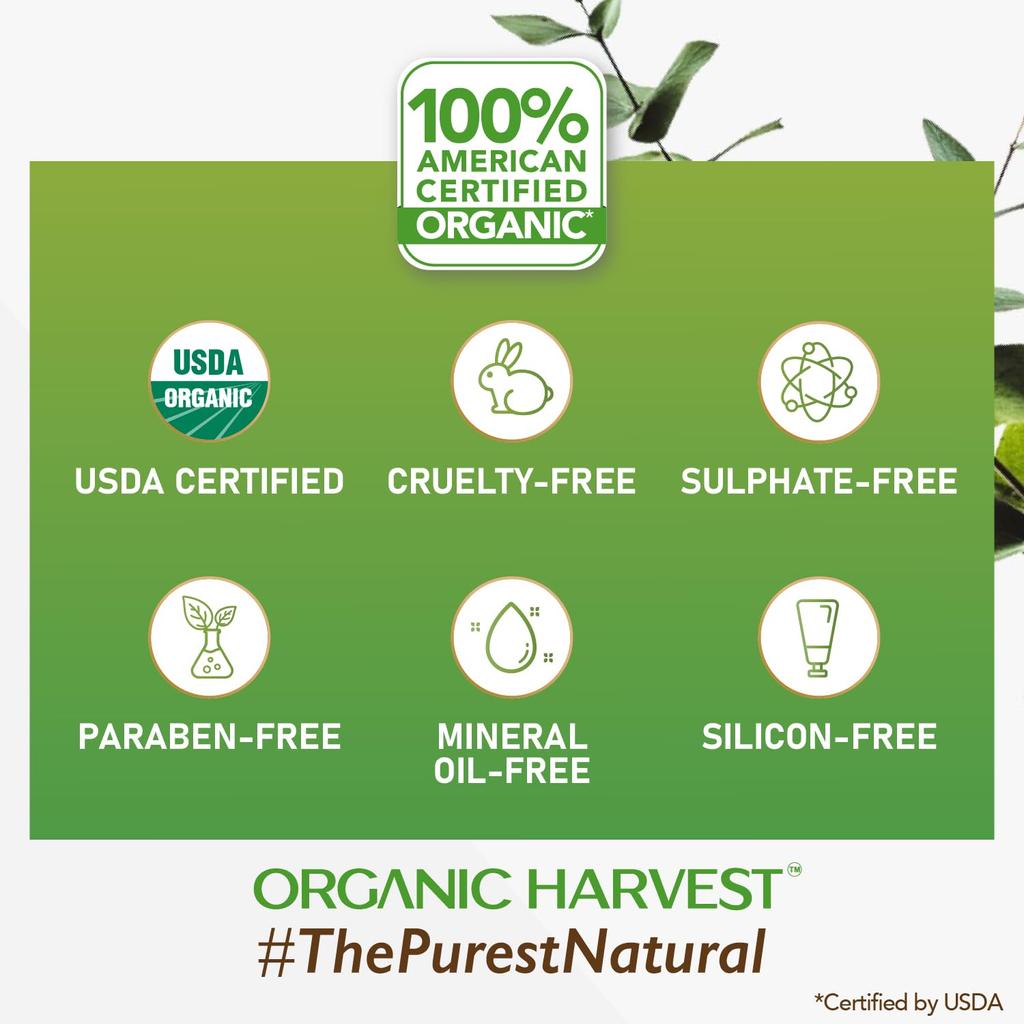 Bath Soap Activated Bamboo Charcoal (125 G), Activated Bamboo Charcoal Luxurious Bathing Bar, Organic Harvest