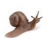 Cognitive Puzzle Science Education Snail Model Garden Decoration Simulation Insect Snail Statue