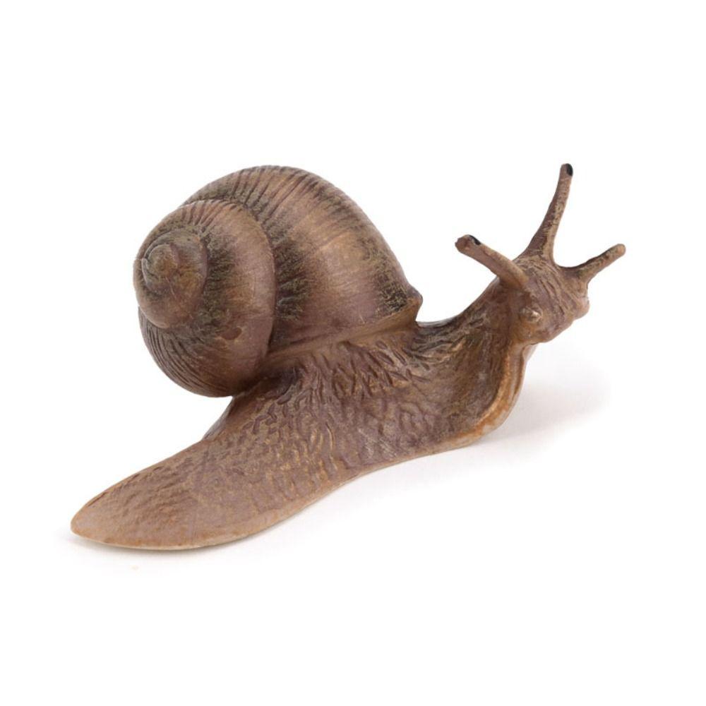 Cognitive Puzzle Science Education Snail Model Garden Decoration Simulation Insect Snail Statue