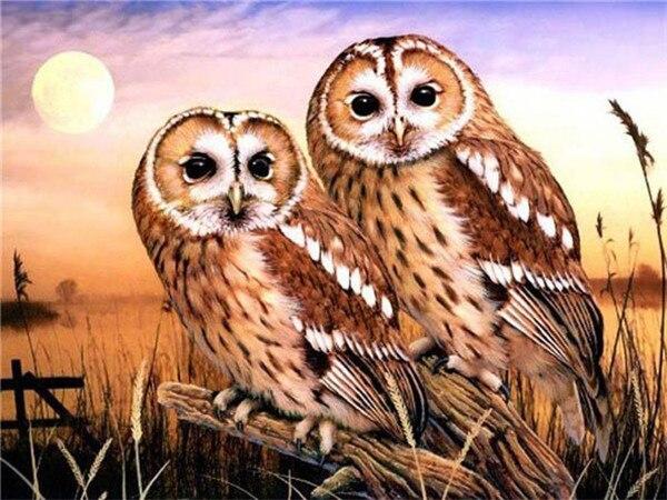 Алмазная картина Сова, полная дрель, украшение для дома, Алмазная вышивка, мозаика с животными, картина со стразами, настенное искусство
