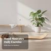 Wooden Balance Board Natural Curved Robust for Pilates Training