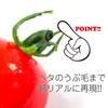 Food replica edible cherry tomato 239OM magnet (red)