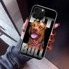 Pit Bull Pet Dog Pitbull Phone Case For iPhone 17 Air 11 13 Mini 14 15 Plus 16 12 Pro Max 16E SE 7 8 Pattern Soft TPU Back Cover