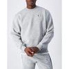 Свитшот - CHAMPION - Legacy Retro Sport - Серый - Длинный рукав - Осень-Зима 2024
