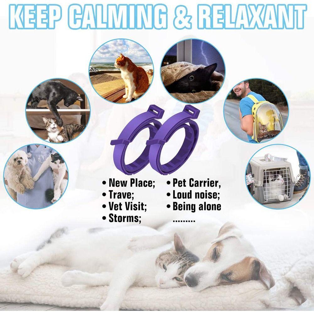 Pet Supply Pacify Adjustable Anxiety Relief Stress Reduction Dog Cat Necklace Pet Calming Collar