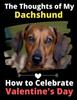 Книга The Thoughts of My Dachshund : How To Celebrate Valentine's Day