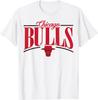 NBA - Футболка с логотипом Chicago Bulls (Арка)