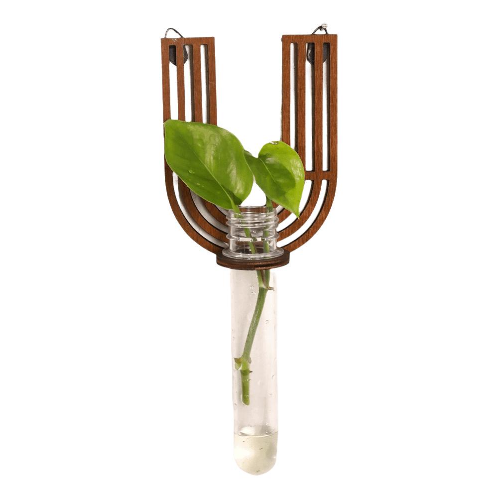 Home Ornaments Hydroponic Planter Shelf Wooden Wall Decoration Wall Mounted Planter Plant Lover