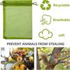 Fruit Protection Anti Insect Mesh Protect Bag Plant Protection Bag Plant Caver Bags Fruit Net Bags