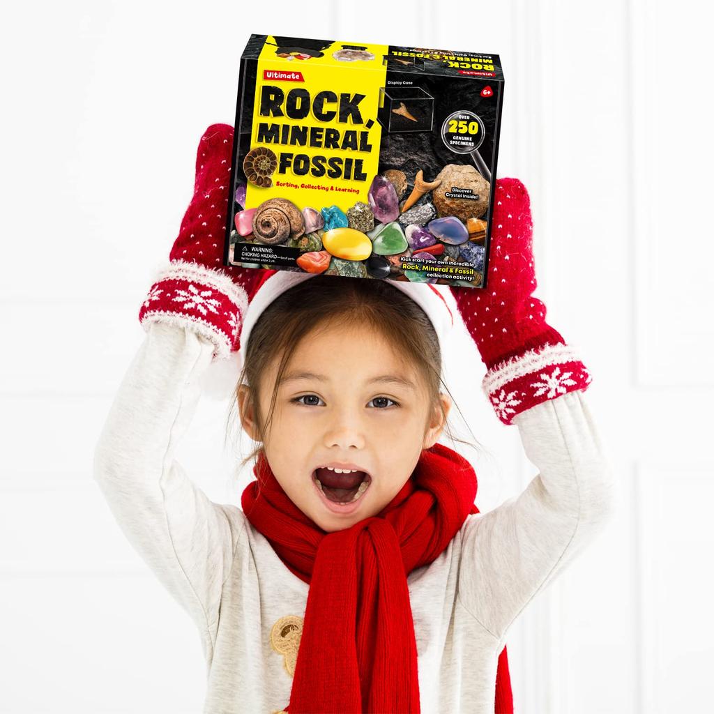 XXTOYS Set of Mineral Gemstone Natural Ore Natural Rock Mineral Geology Science Kids Gift 250-Piece Specimens, Toys, Fossils, Geodes, Fossils, &