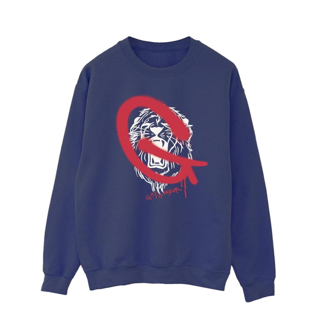 Harry Potter Mens Gryffindor Pop Spray Sweatshirt