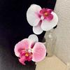 Hair Accessories Sweet Hairpin Pink Orchid Bohemia Barrette Flower Hair Clip  Wedding Decoration