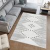 Washable Printed Carpet RVGHOME0406