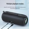 Bluetooth-колонка Newmine N20, китайская вилка (адаптер в комплекте)