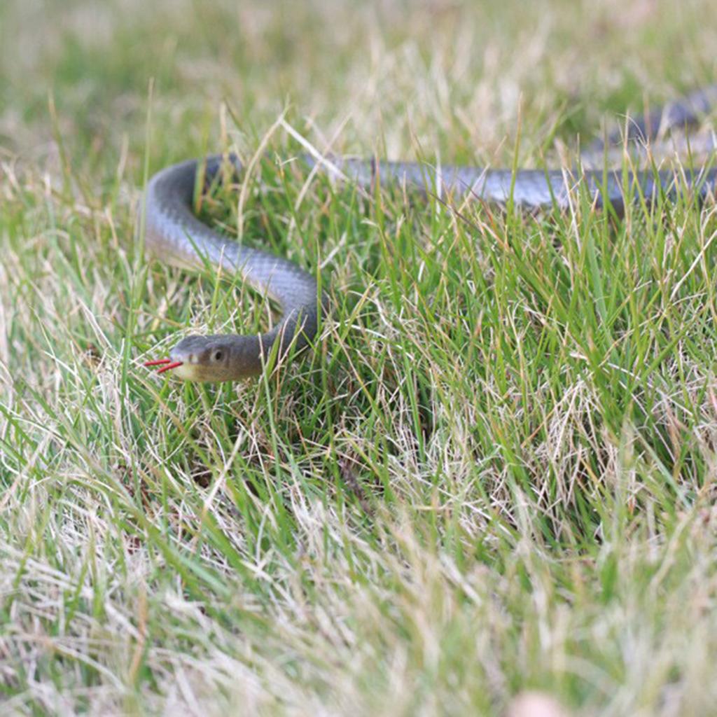 Novelty Realistic Snake Prank Toy Clip On Snake Chases Person Practical Joke Toy Interesting Snake Pranks Party Supply