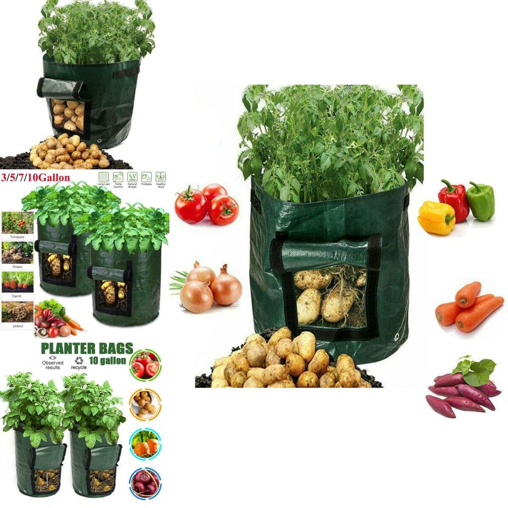 Practical And Lightweight Garden Plant Tools For Homegrown Food On Balconies And Patios