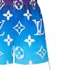 Louis Vuitton Повседневные шорты женские синие 1A8TI9