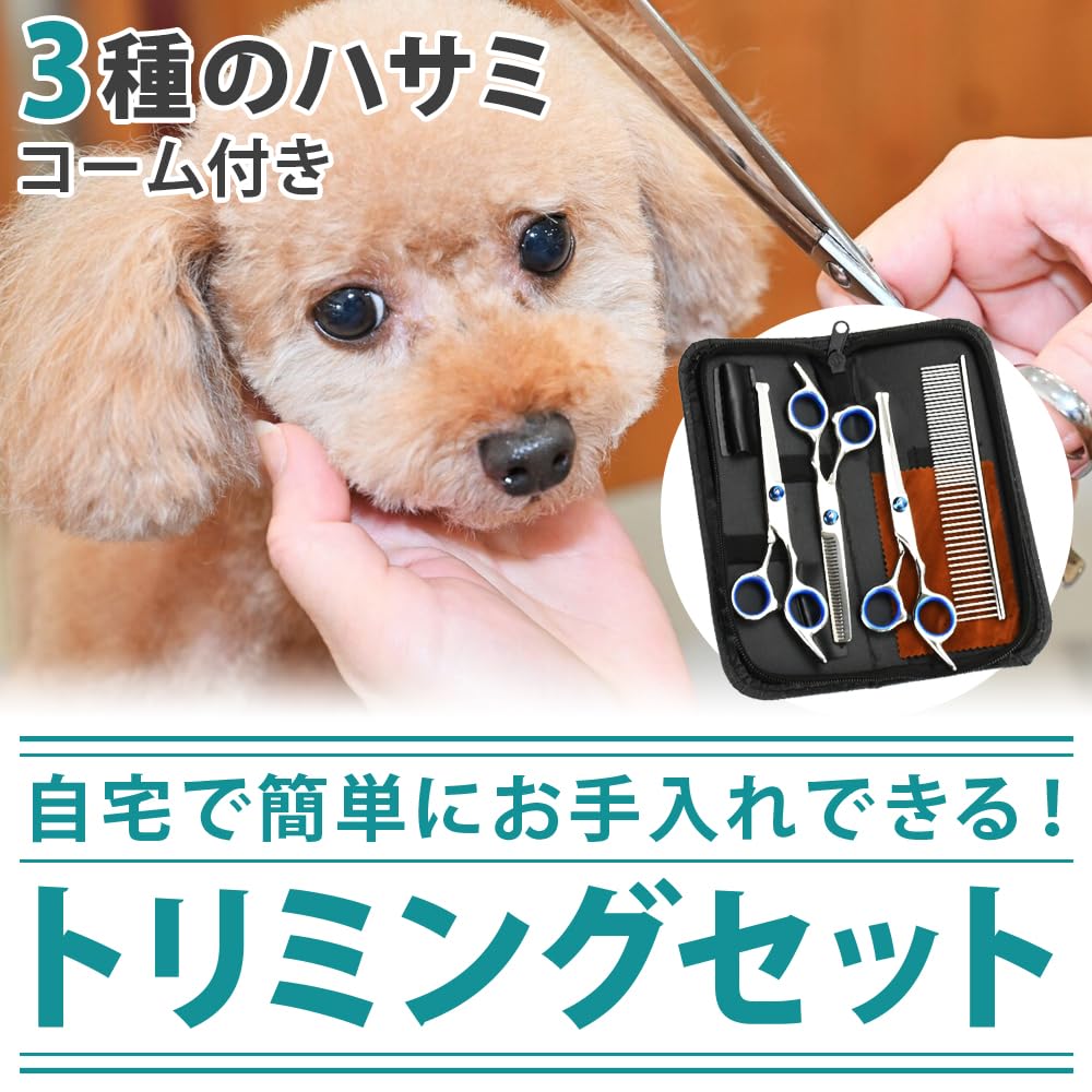 COTEN Набор для груминга питомцев с филировочными, изогнутыми и легкими ножницами, идеально подходящий для начинающих, кейс, ножницы, ножницы, расческа, захват, острые,