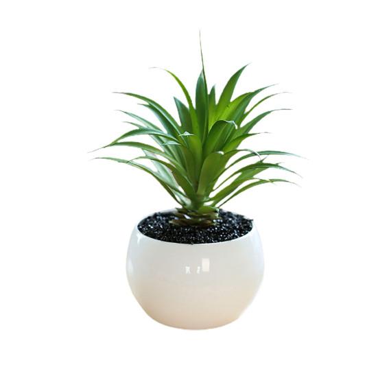 Отличный искусственный суккулент, не требующий полива, яркий декоративный