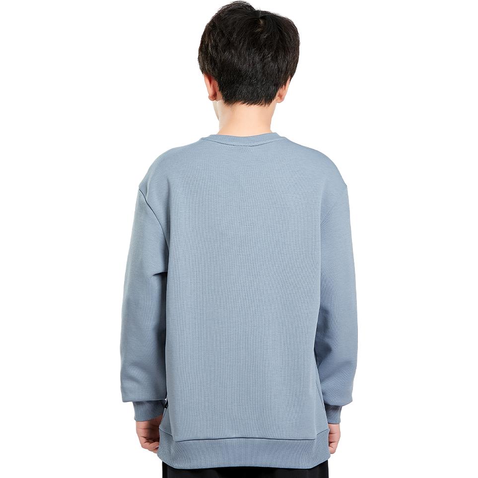 Li Ning Badminton Series однотонный логотип для бега спортивный свитер с длинным рукавом мужская толстовка серый AWDTD81-5