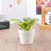 1Pc Mini Desktop Small Potted Artificial Plant Bonsai Plant Fake Flower Desk Potted Decoration Home Garden Decoration Supplies
