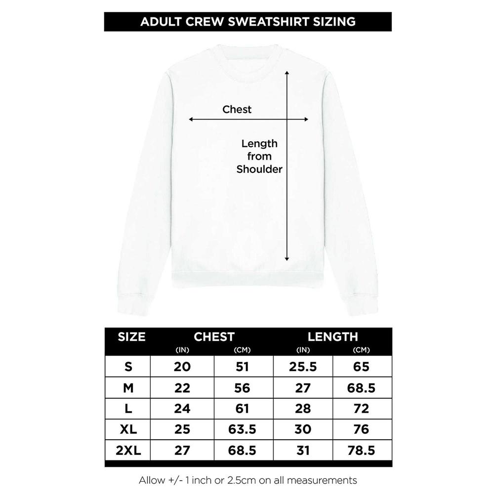High School Musical Unisex Adult Troy Sweatshirt