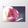 Pink Rose Painting