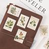 45pcs Floral Illustrations Stickers Set Plants Drawing Stamp Note Sticker Home DIY Diary Adhesive Decoration Gift Letter