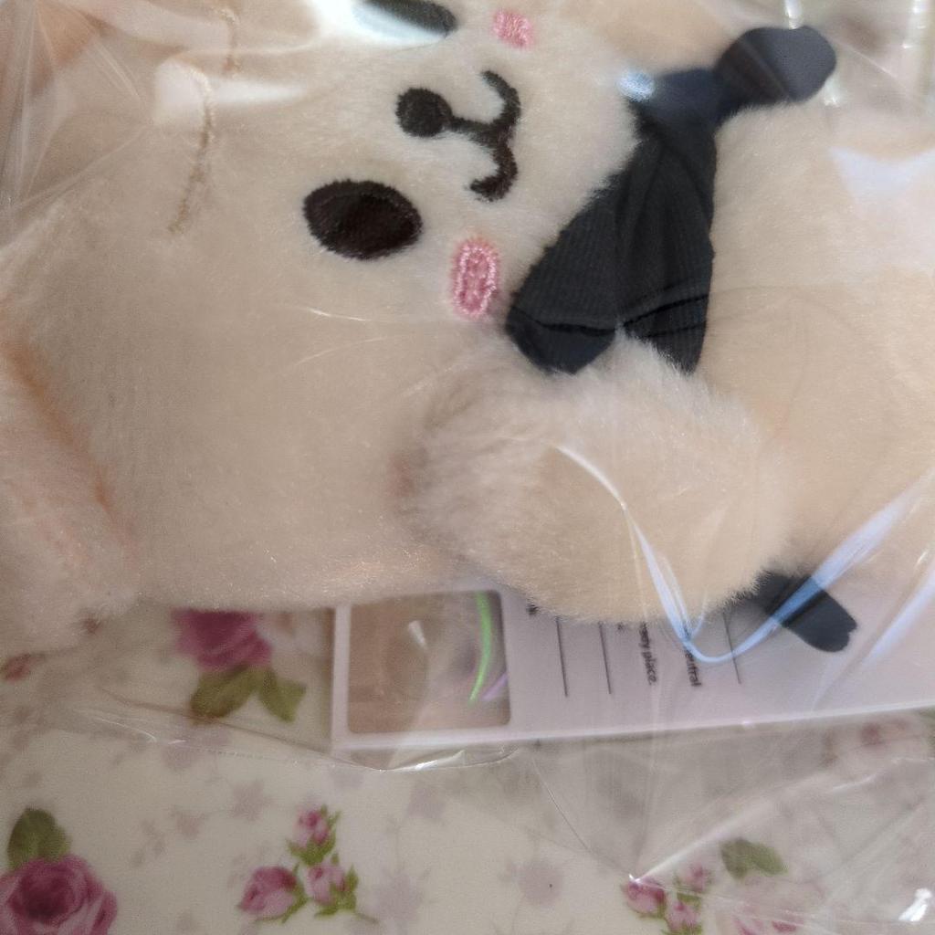 [Б/У] skzoo Сынмин Папим 10 см Плюшевый Магнитный Брелок