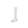 Thick-heeled Long-barrel Heightening Boots for Women, New Year's Models, But Knee Boots, Spring High-heeled Knight Boots, Thick-soled Thin Boots.