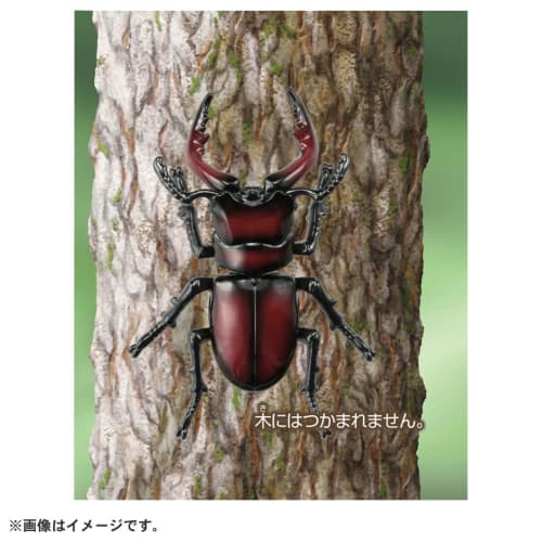 TAKARA TOMY Ania AS-43 Sawtooth Stag Beetle Animal Dinosaur Insect Toy Ages 3+