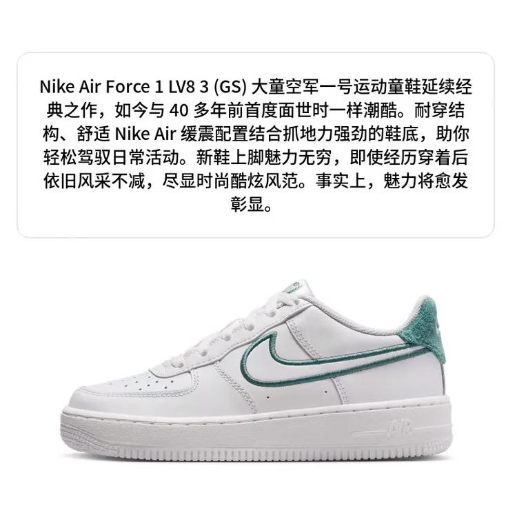 Nike Air Force 1 LV8 3 Grade School 'Resort Sport' (Unisex) Summit White / Bicoastal / Summit White Kids' Skateboarding Shoes FZ2008 100