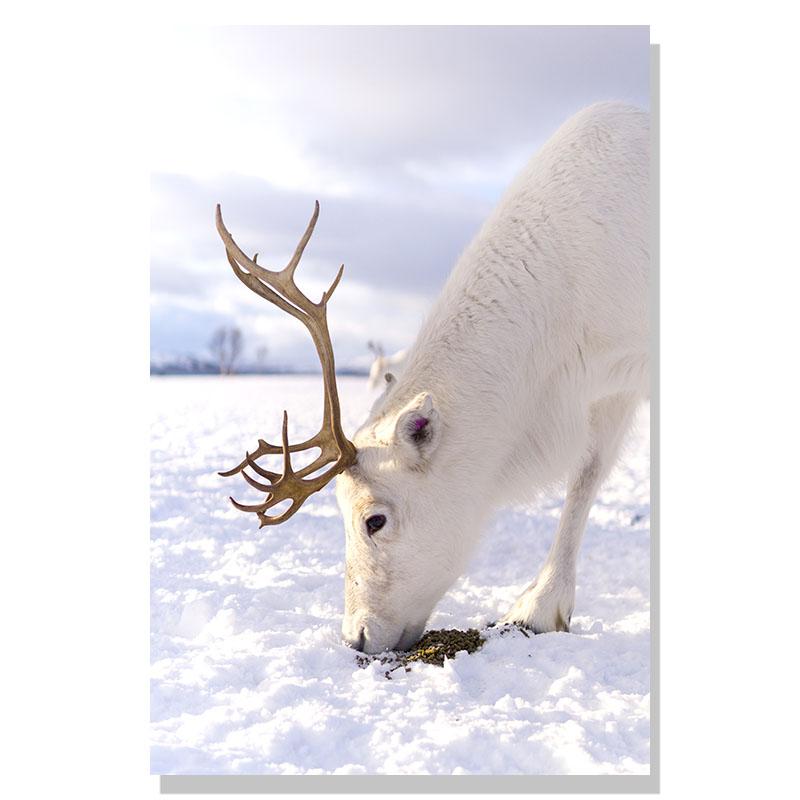 Flower Lake Snow Owl Deer Forest Landscape Winter Wall Art Canvas Painting Nordic Posters And Prints Wall Pictures Home Decor