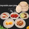 Biodegradable Disposable Paper Plates