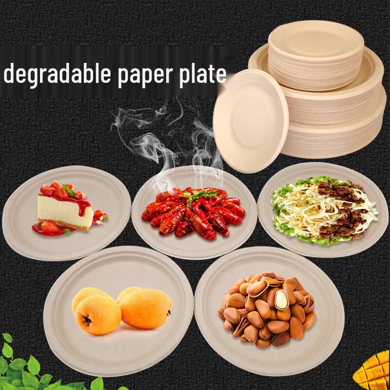 Biodegradable Disposable Paper Plates
