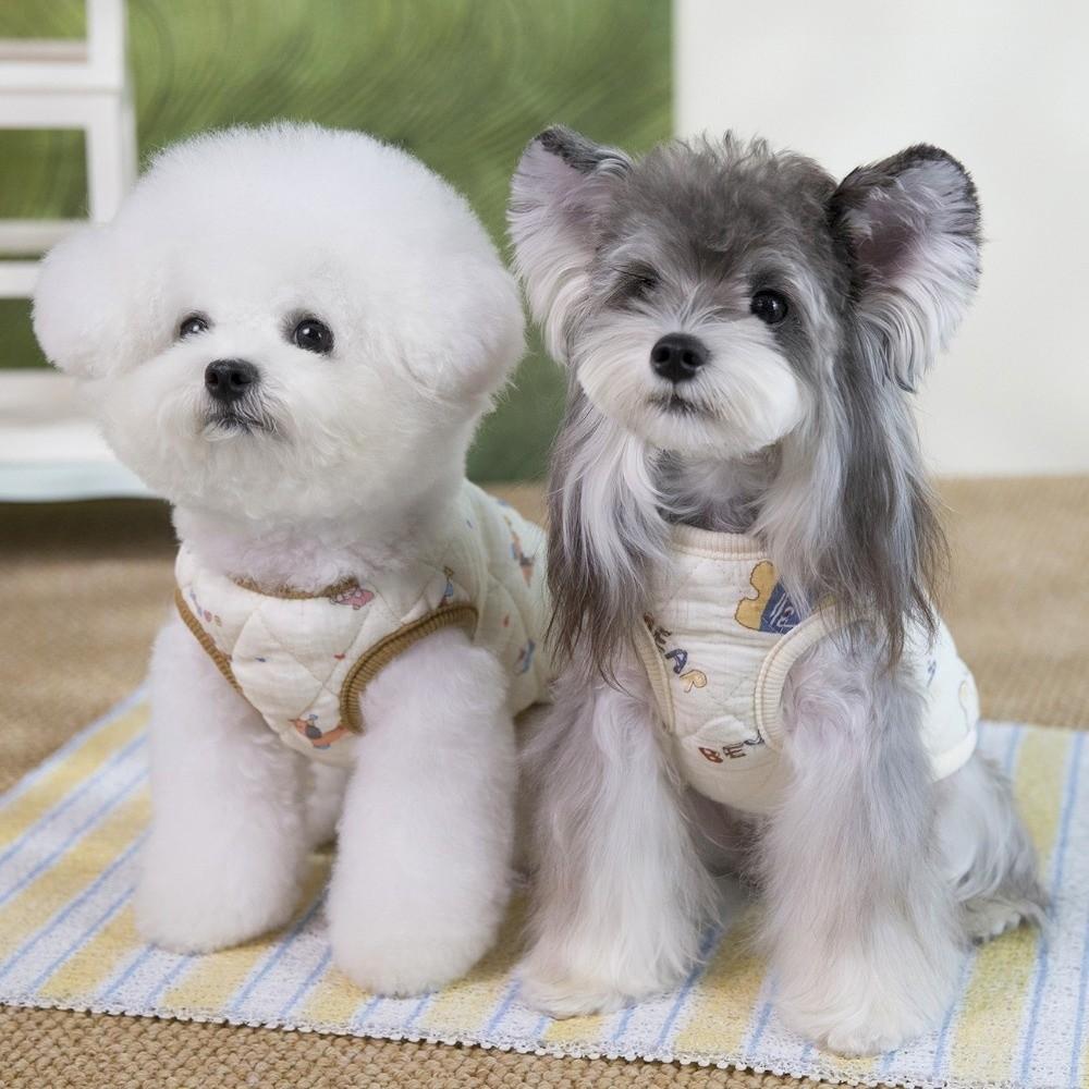 Windproof Pet Dog Clothes Cartoon Puppy Clothes Vest Winter Dog Jacket  For Small Medium Dog