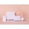 Pandora Mini Charm [department Store Warranty] 794512c00