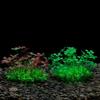 CO-H Ландшафт для аквариума: Искусственное водное растение для декора аквариума