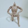 1/6 Doll Male Action Figure Solid Doll 1/6 Male Model Doll  Sketching Art Works