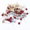 50/100 шт. Искусственные фрукты Пенопласт Тычинки Вишня Золотые Серебряные Цветы DIY Рождественские Поделки Декор Коробка Свадьба Дом Комната Вечеринка Принадлежности